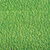 Apple Green color swatch